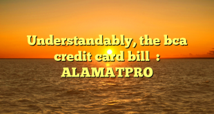Understandably, the bca credit card bill  : ALAMATPRO